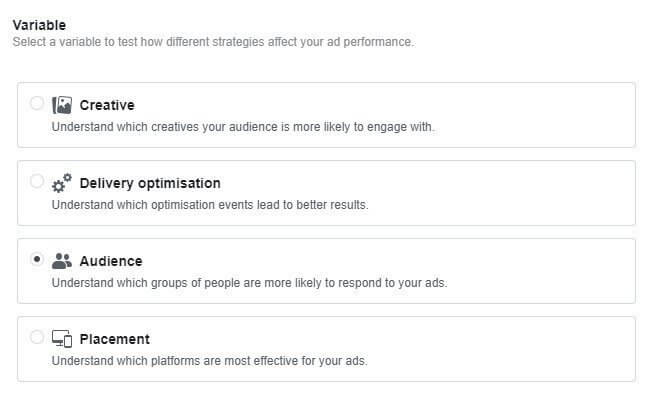 facebook-ad-variable-testing