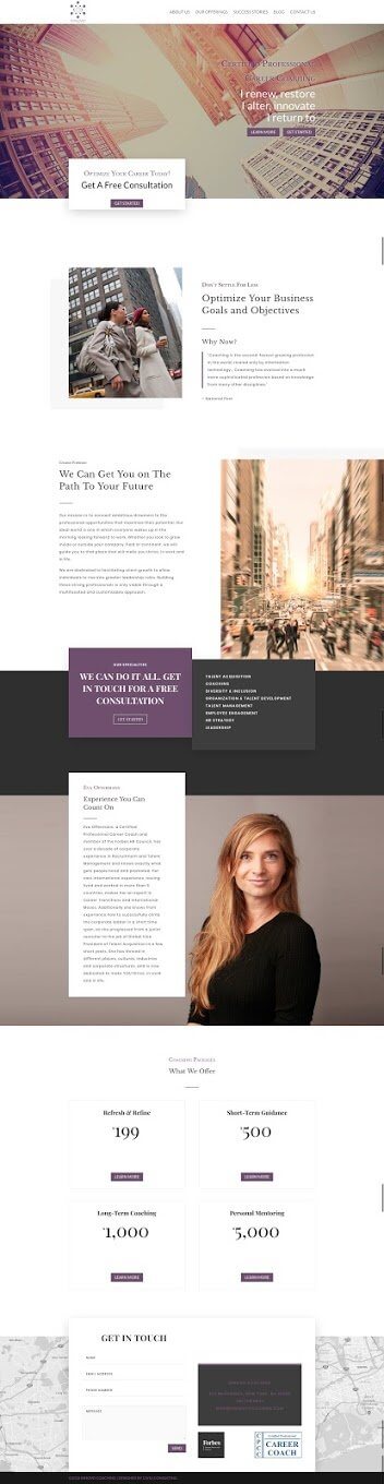 website-design-option