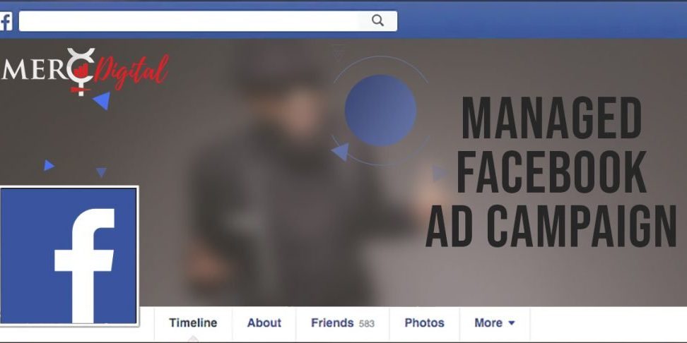 Managed Facebook Ad Campaign